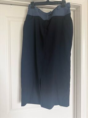 Zara Navy Midi Skirt with Slate Waistband